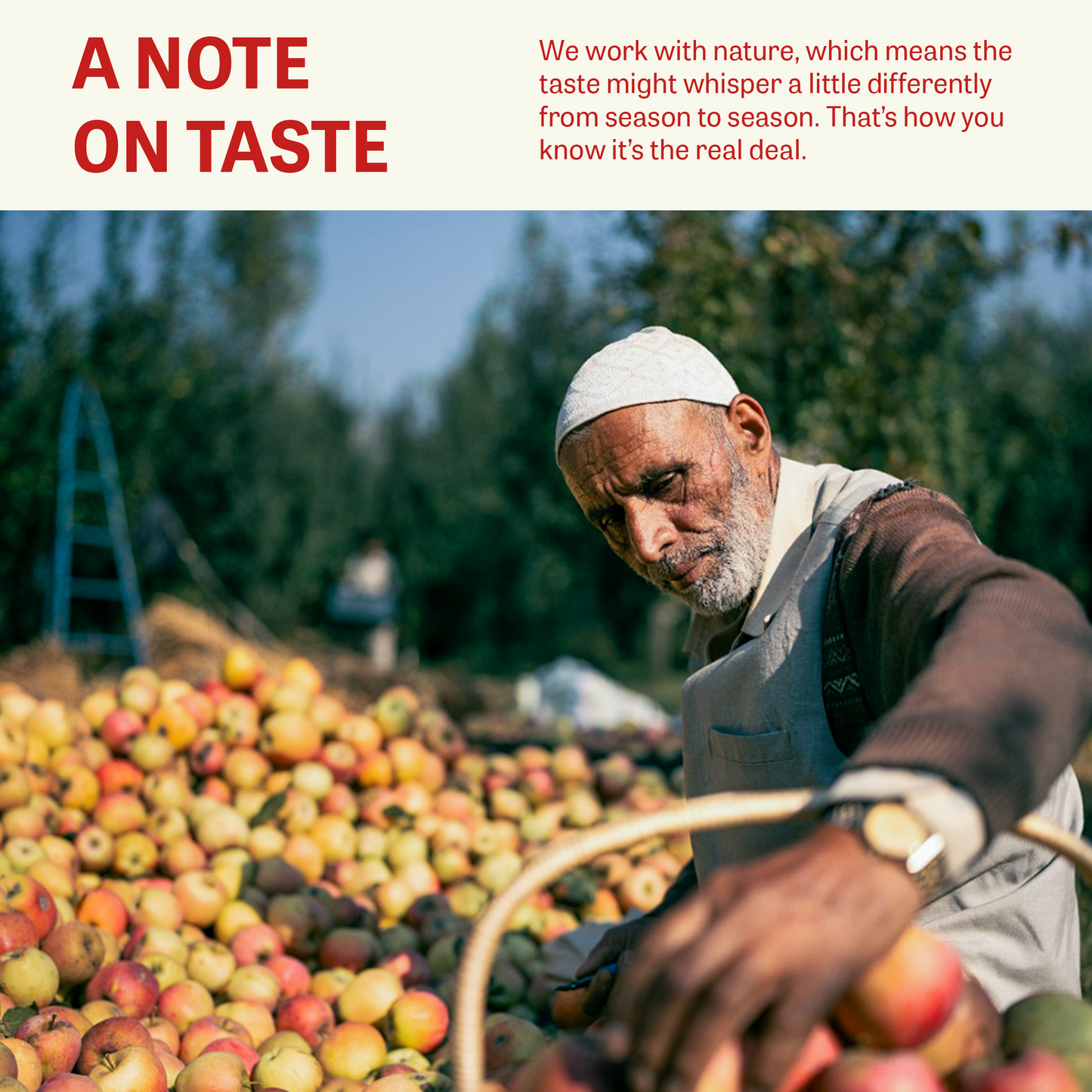 Pure Apple & Tart Cherry Juice Bag in Box